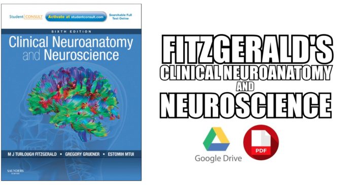 Clinical-Neuroanatomy-and-Neuroscience-Fitzgerald-PDF-Free-Download