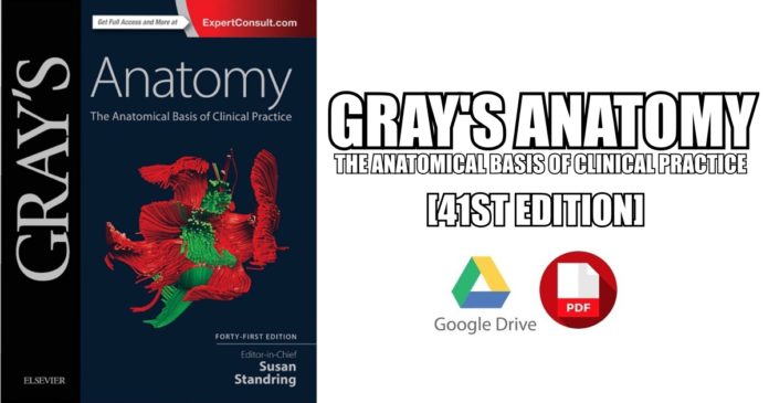 Download Gray S Anatomy The Anatomical Basis Of Clinical Practice 41st Edition Pdf Free Download Direct Link Medicos Times