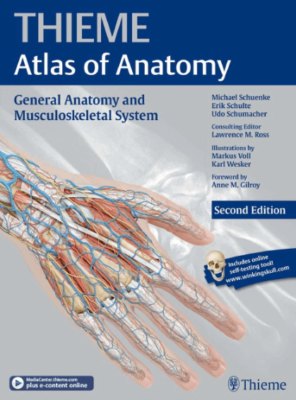 47+ Thieme Atlas Of Anatomy Head And Neuroanatomy Pics